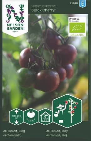 cocktailtomat-black-cherry-eko-1