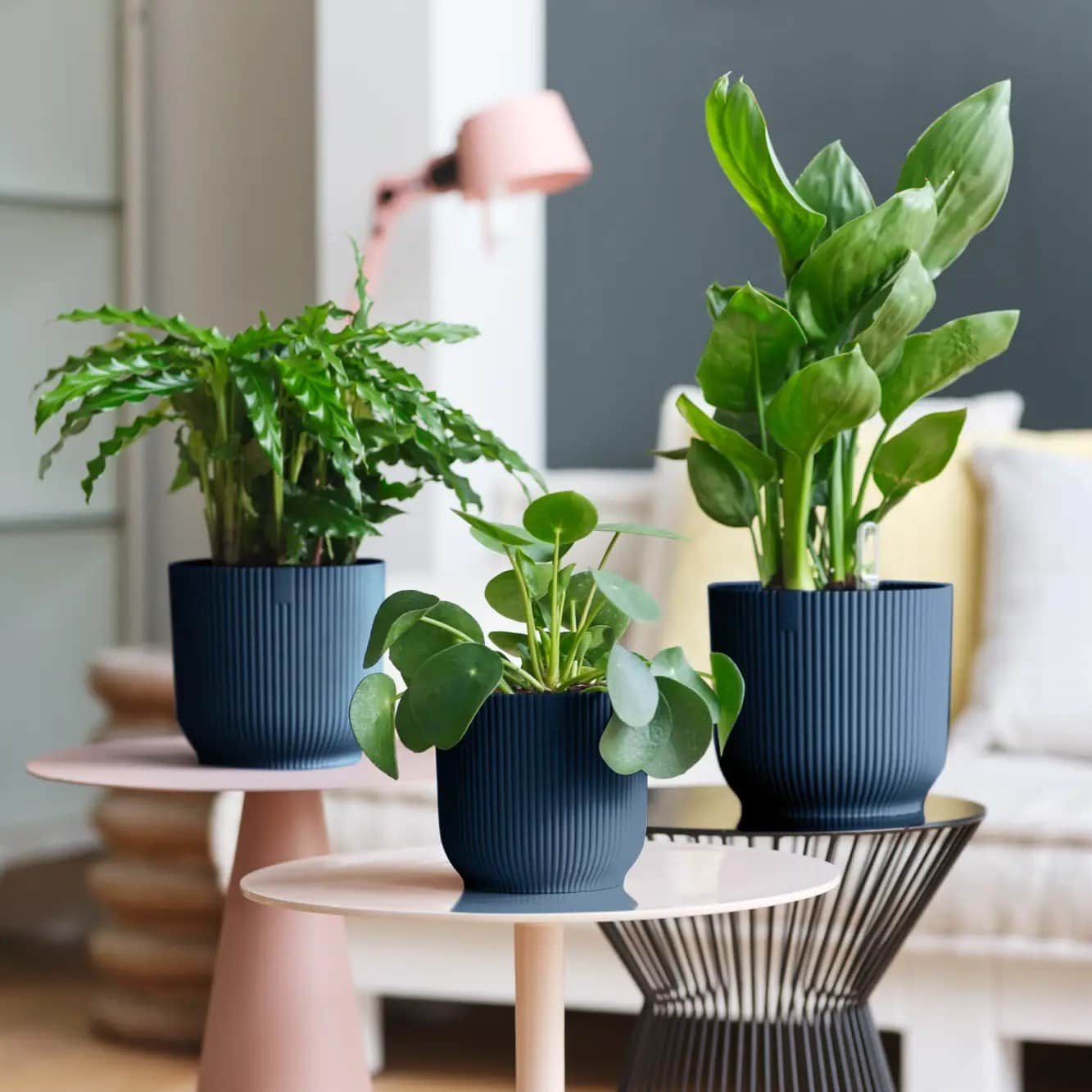 vibes-fold-round-mini-11cm---deep-blue-3