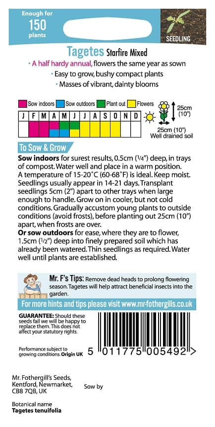 liten-tagetes-starfire-mix-fr-2