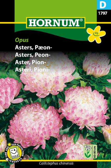 Sommaraster ’Opus’, frö