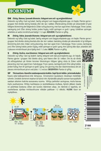 riddarsporre-light-pink-2