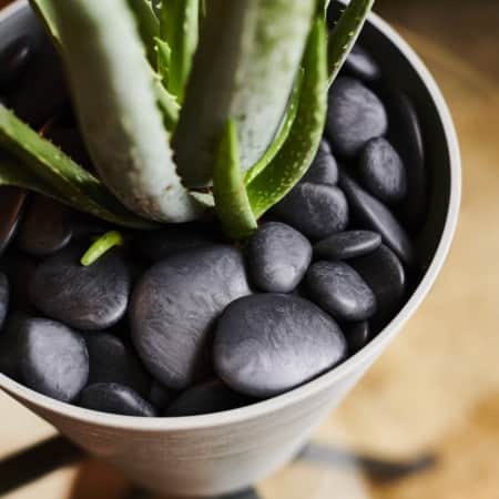 dekorationssten-pebbles-black-1