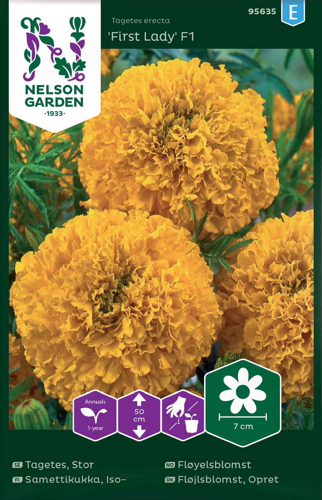 tagetes-first-lady-f1-1