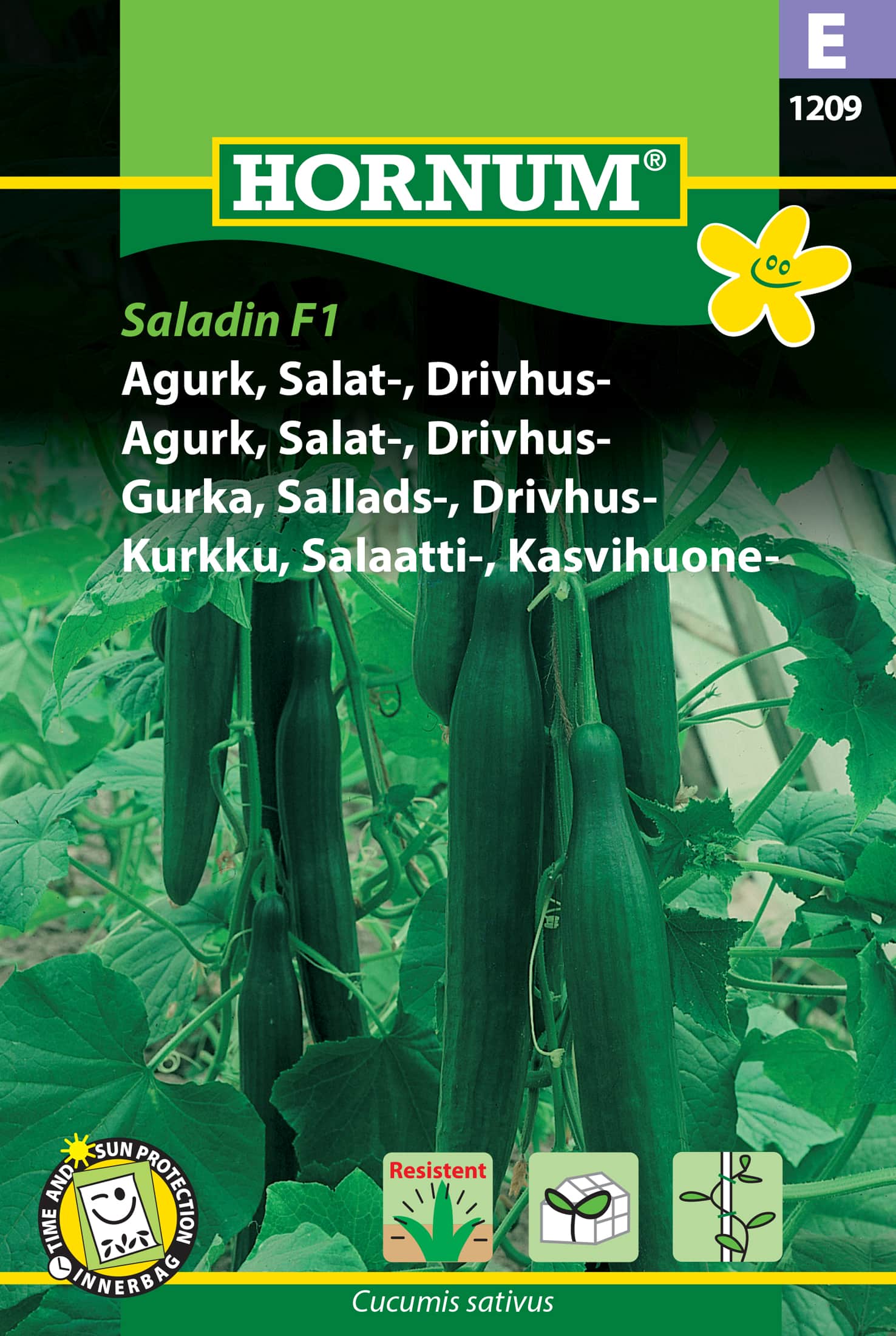 drivhusgurka-saladin-f1-fr-1