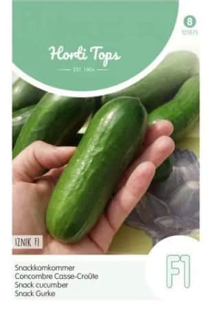 salladsgurka-iznik-f1-1