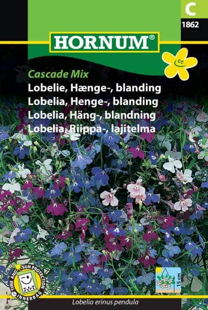 hnglobelia-cascade-mix-fr-1