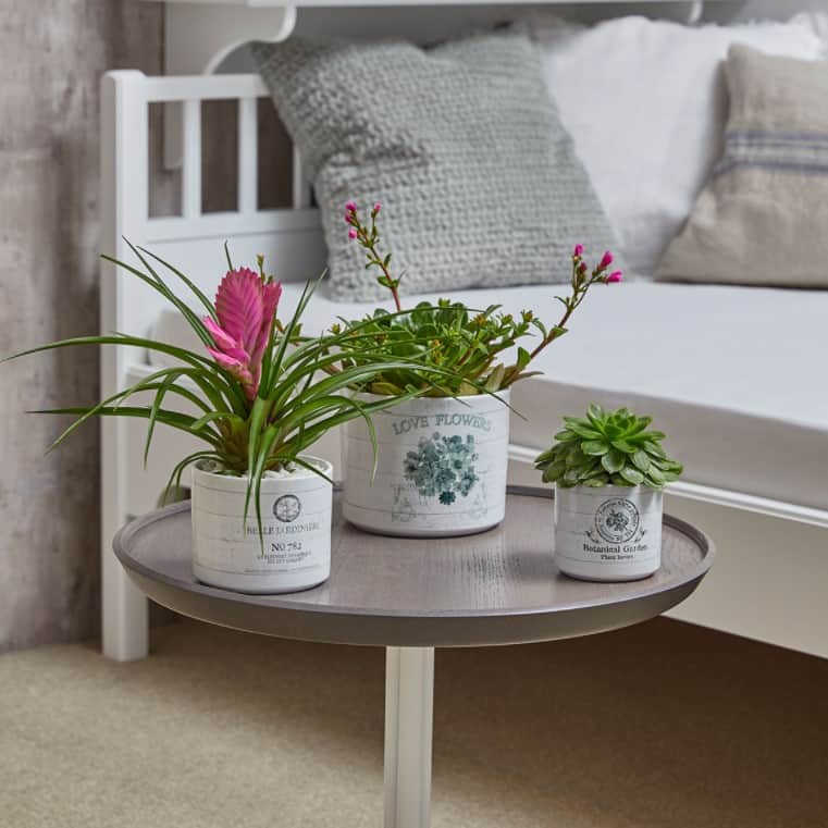 inomhuskruka-vintage-garden-belle-jardinire-8-2
