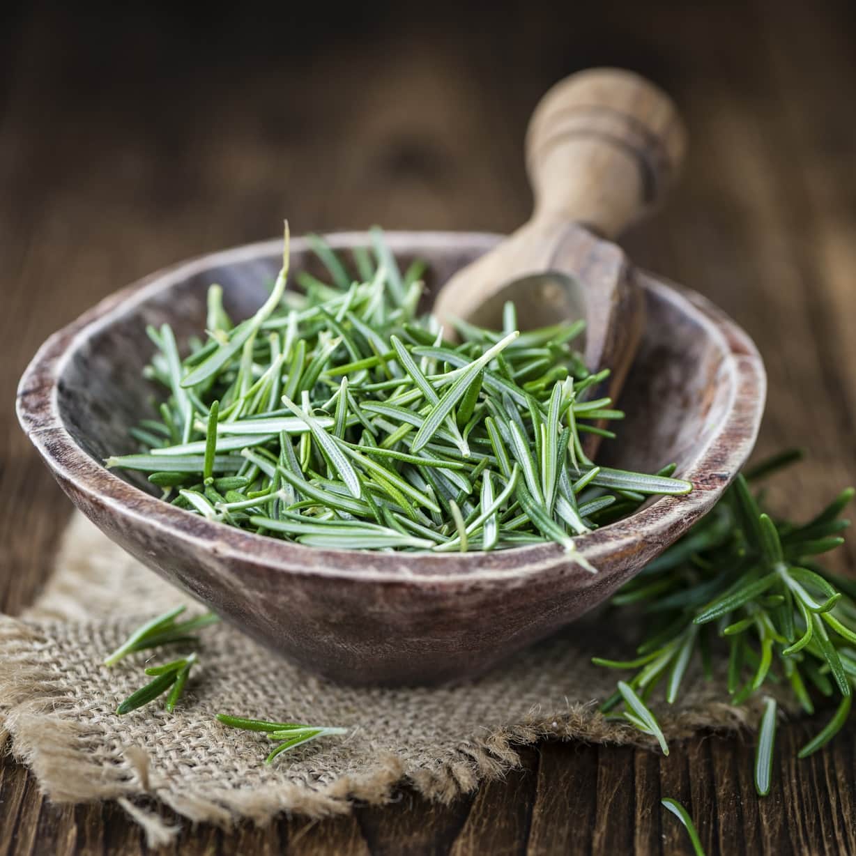 rosmarin-green-rosi-105cm-kruka-3