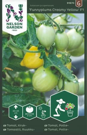 kruktomat-funnyplums-creamy-yellow-f1-1