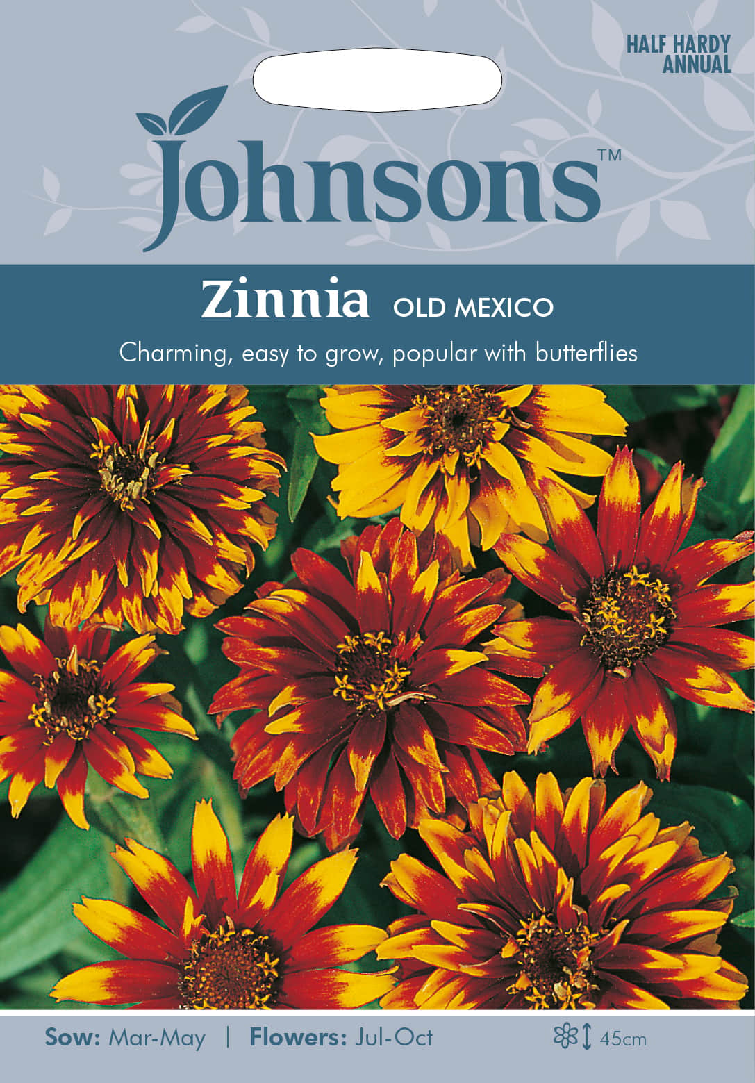 zinnia-old-mexico-fr-1