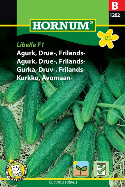 Frilandsgurka (Asiegurka) ’Libelle’ F1 frö