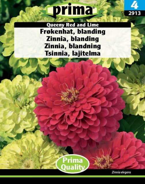 zinnia-mix-queeny-red-and-lime-fr-1