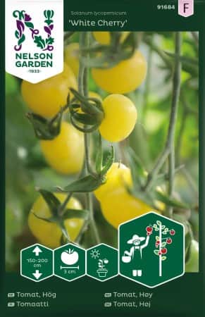 krsbrstomat-white-cherry-1