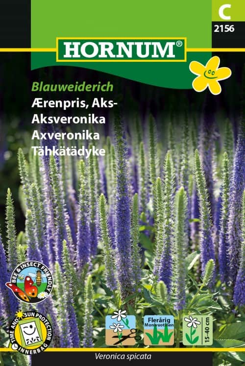 axveronika-blauweiderich-1