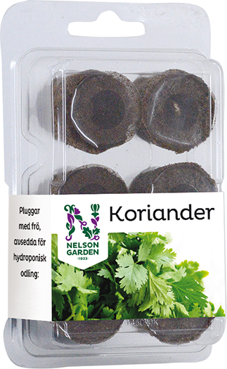 hydroponisk-easy-to-grow-koriander-1