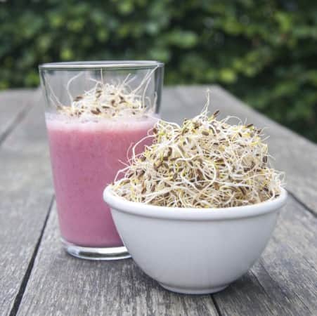 sproutly-eko-fnklsfrn-80g-1