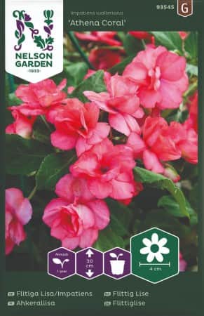 flitiga-lisa-athena-coral-f1-1
