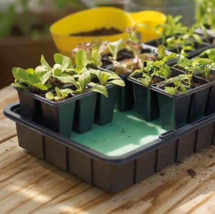 minidrivhus-inkl-bevattningsmatta-1