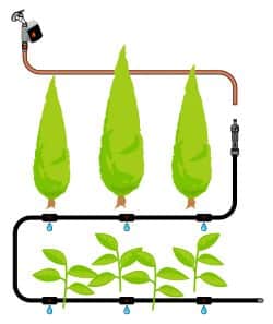 smart-micro-drip--buskar-och-hckar-2