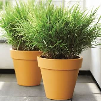 pure-round-60cm-black-1