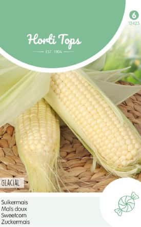 sockermajs-glacial-1