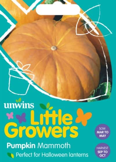 little-growers-pumpa-mammoth-1