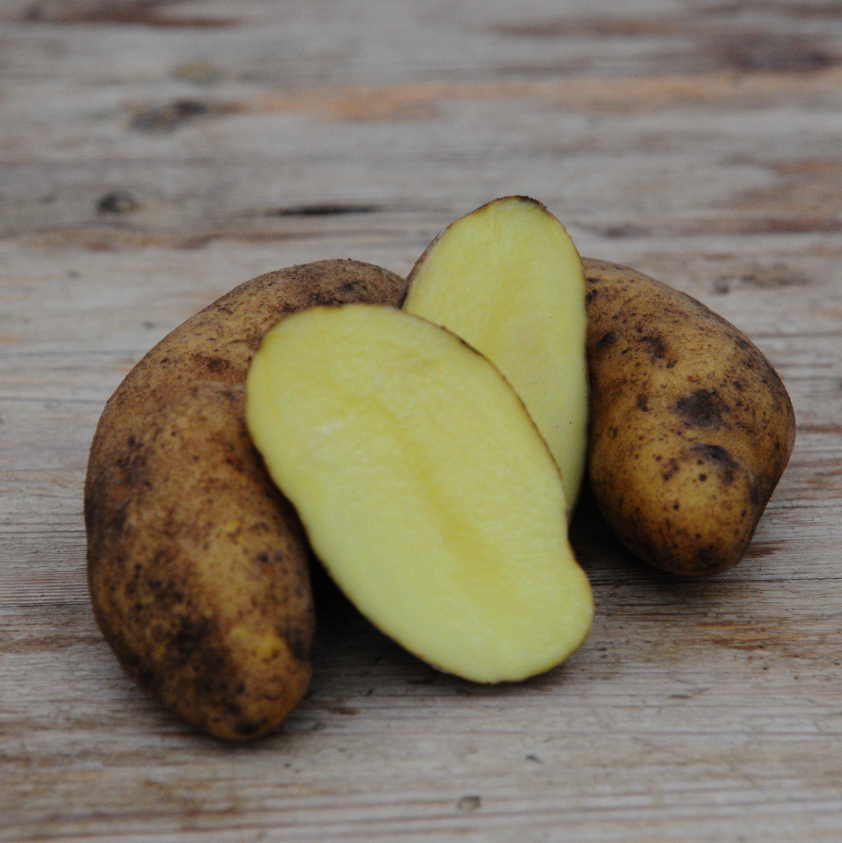potatis---mandelpotatis-1-kg-1