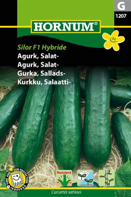 salladsgurka-silor-f1-hybride-fr-1