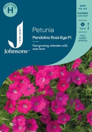 petunia-pendolino-rose-eye-f1-1