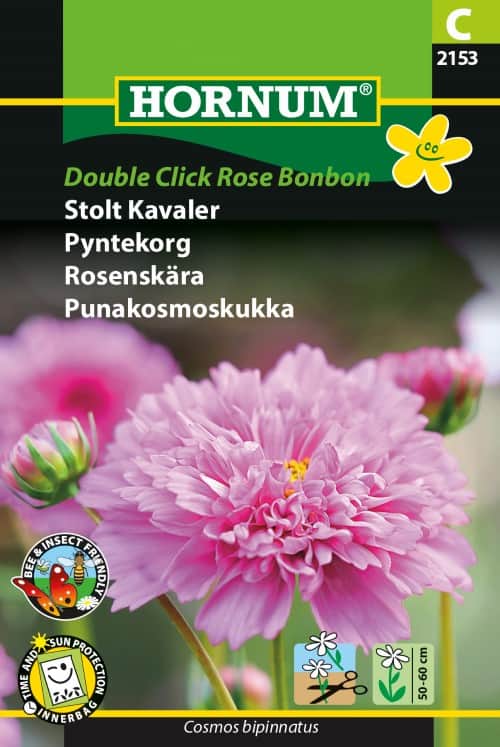 rosenskra-double-click-rose-bonbon-2