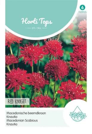 grekvdd-red-knight-1