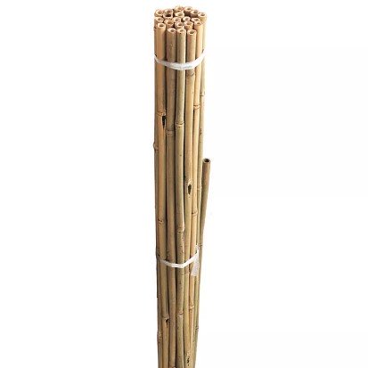 Växtstöd Bambupinne 60cm - 20st