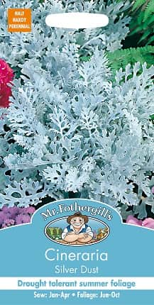 silverek-silver-dust-fr-1