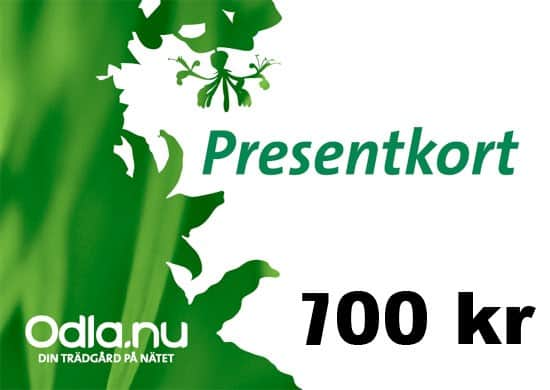 presentkort-700-1