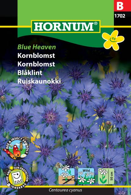 Blåklint ’Blue Heaven’ frö