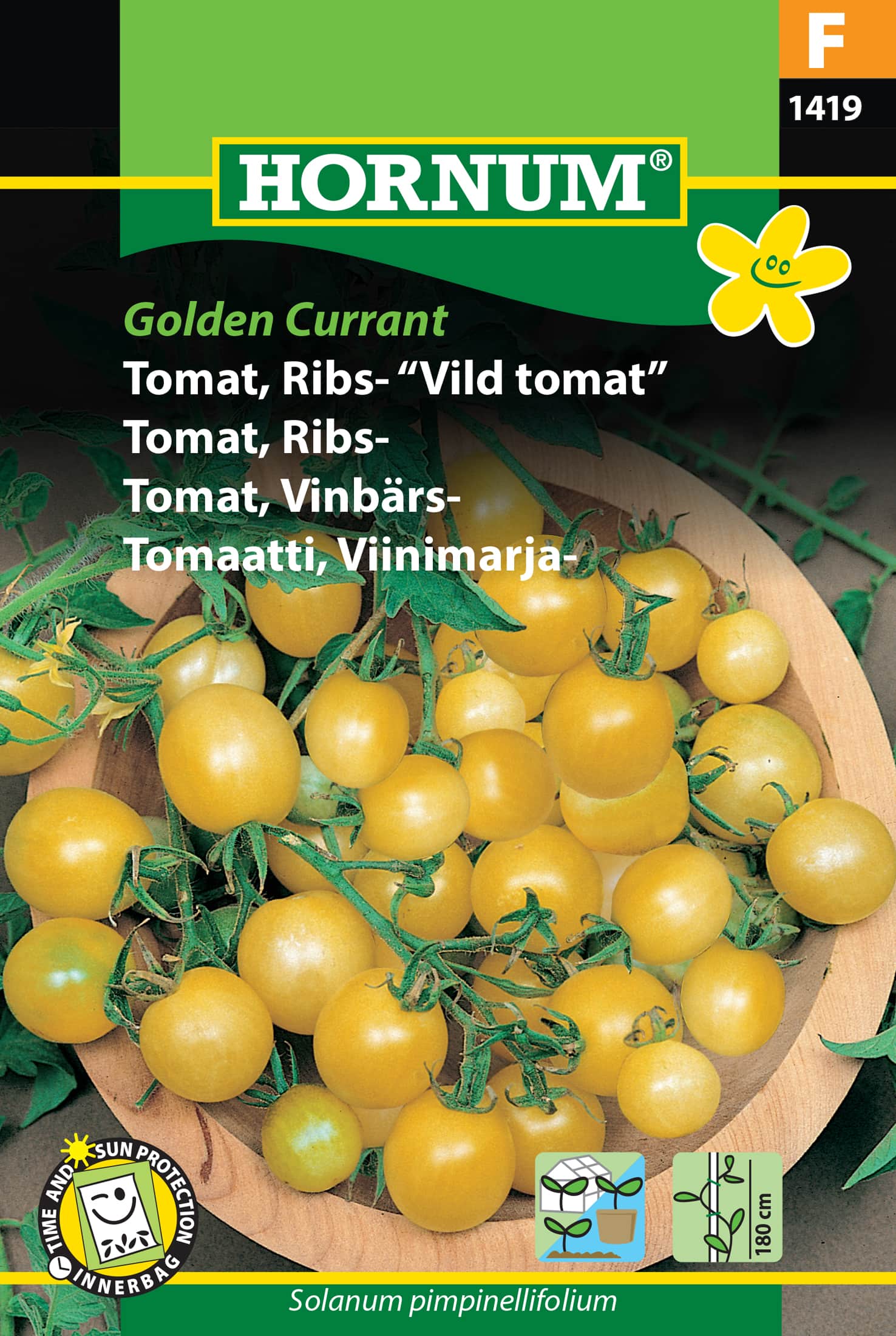vinbrstomat-golden-currant-1