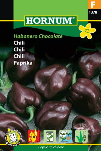 chili-habanero-chocolate-1