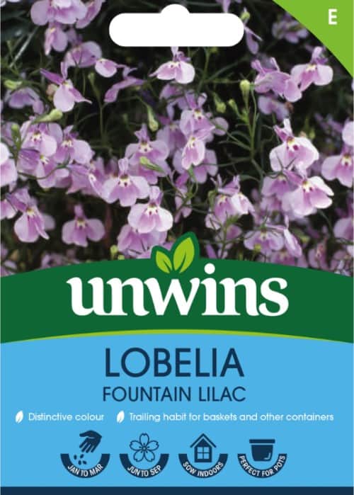 hnglobelia-fountain-lilac-1