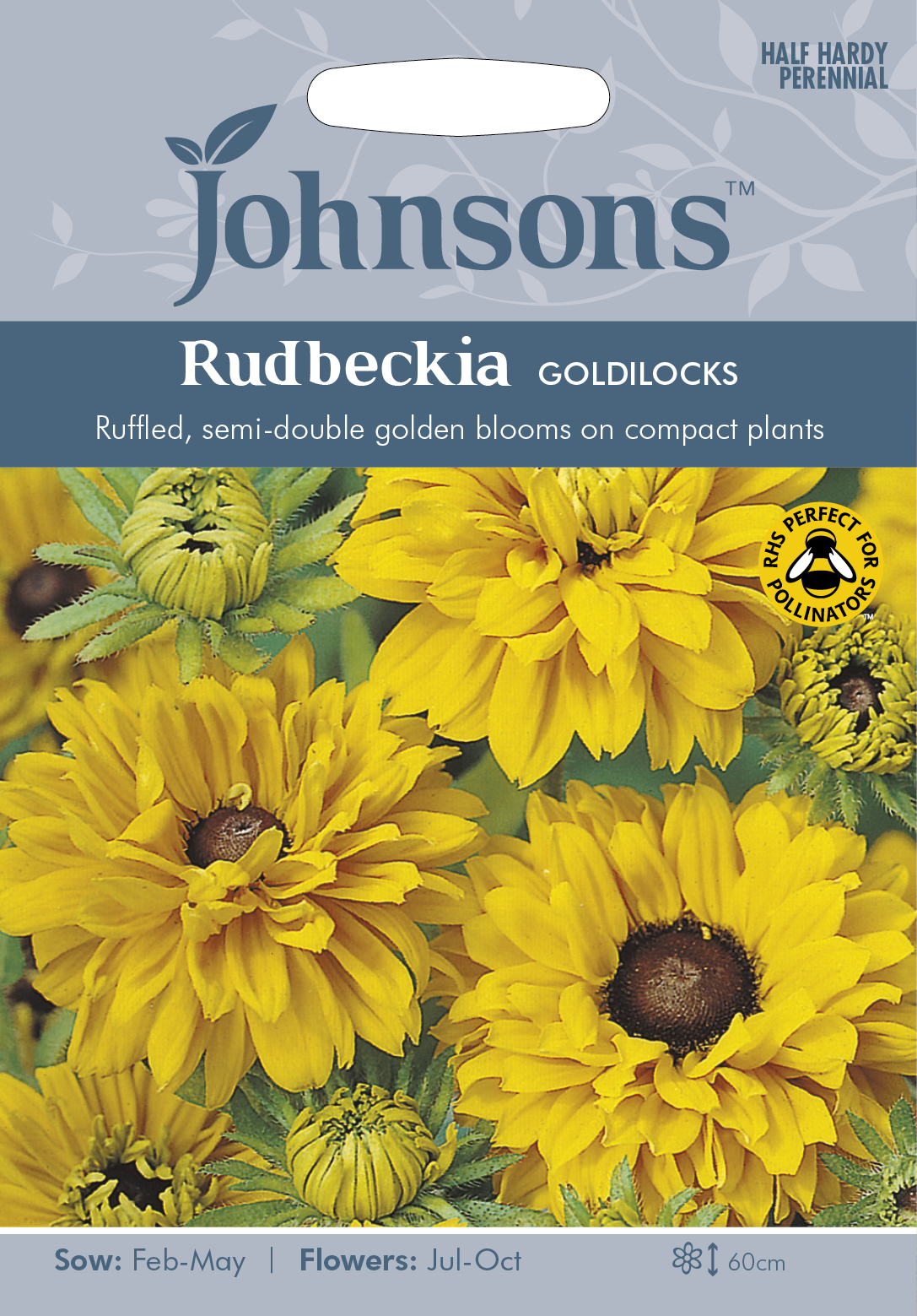 Sommarrudbeckia’Goldilocks’, frö