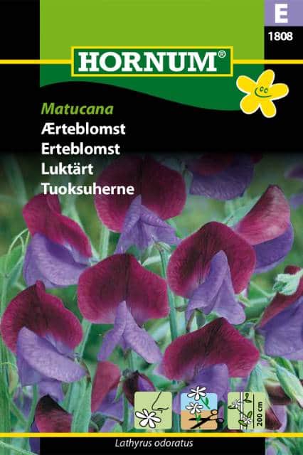 luktrt-matucana-1