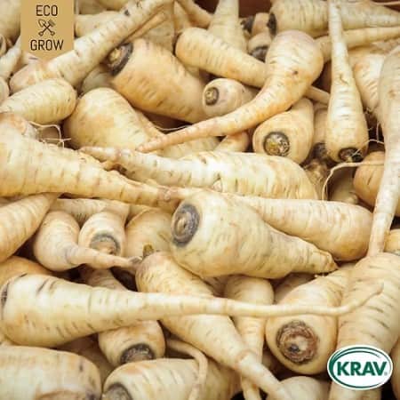 palsternacka-guernsey-krav-mrkt-1