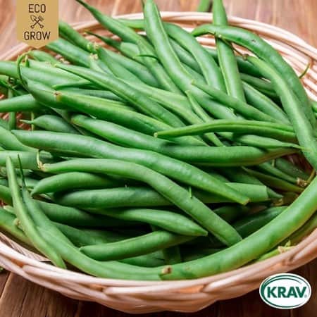 brytbna-slenderette-krav-mrkt-1