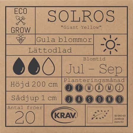 solros-giant-yellow-krav-mrkt-2