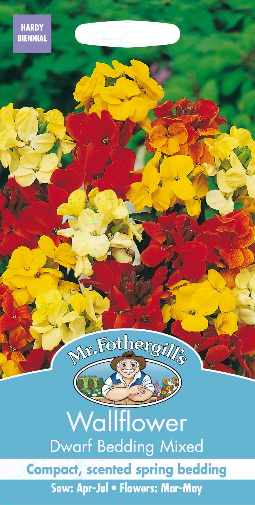 gyllenlack-dwarf-bedding-mix-fr-1