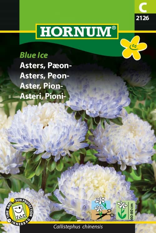 sommaraster-blue-ice-1