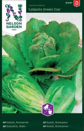 romansallat-lobjoits-green-cos-1