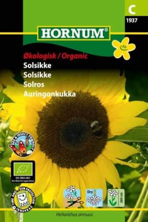 solros-gelbe-riesen-eko-1