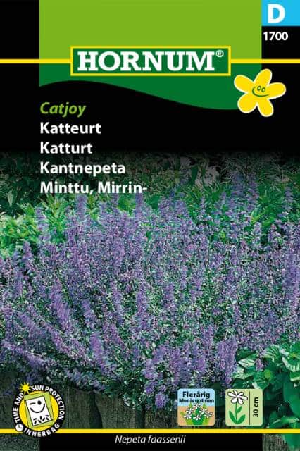 kantnepeta-catjoy-1