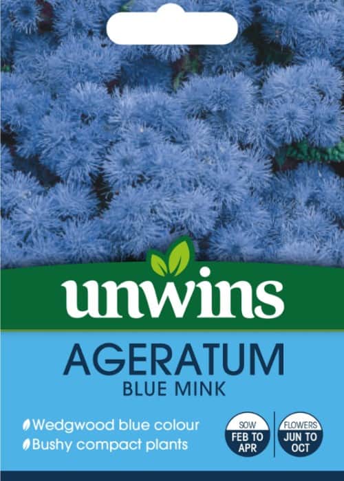 ageratum-blue-mink-1