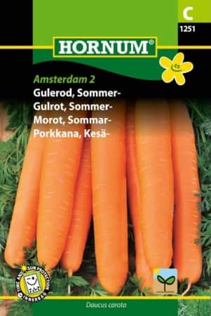 sommarmorot-amsterdam-2-1
